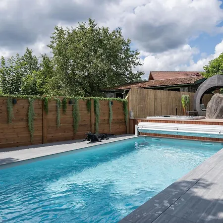 Lilou Shelter * Gérardmer